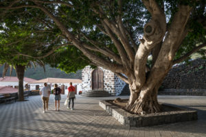 Village square with huge deciduous tree at the Ermita de la Inmaculada Concepcion church in the mountain village of Masca, Tenerife, Canary Islands, Spain Village square with huge deciduous tree at the Ermita de la Inmaculada Concepcion church in the mountain village of Masca, Tenerife, Canary Islands, Spain